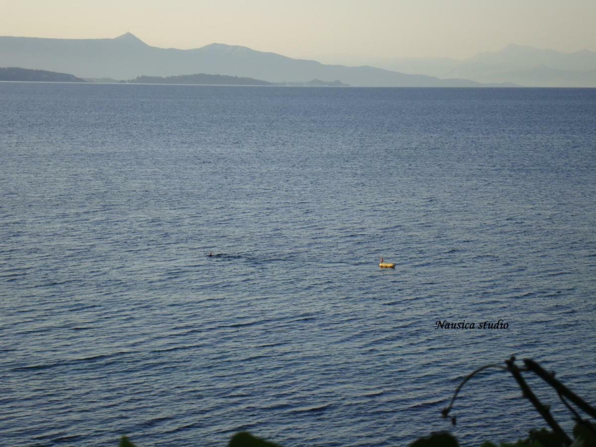Studio Nausica... A Sense Of Paradise! Agia Pelagia Chlomou Eksteriør bilde