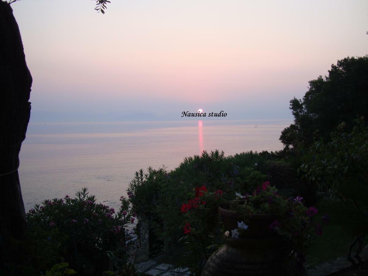 Studio Nausica... A Sense Of Paradise! Agia Pelagia Chlomou Eksteriør bilde