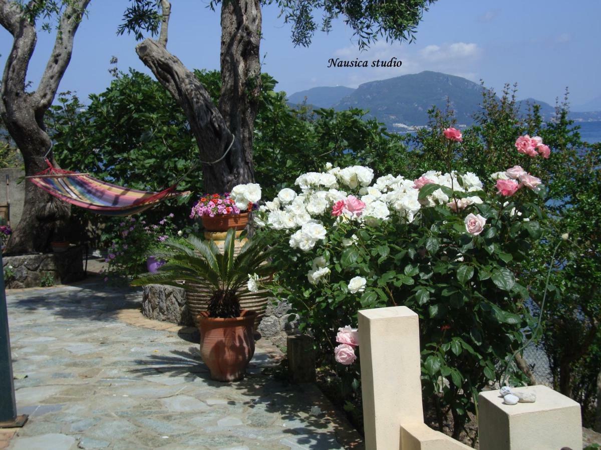 Studio Nausica... A Sense Of Paradise! Agia Pelagia Chlomou Eksteriør bilde