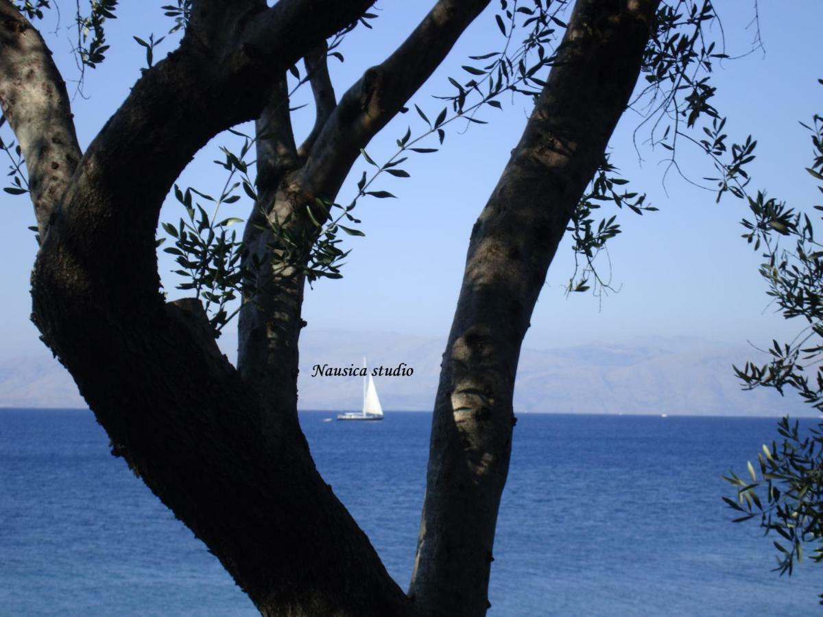 Studio Nausica... A Sense Of Paradise! Agia Pelagia Chlomou Eksteriør bilde