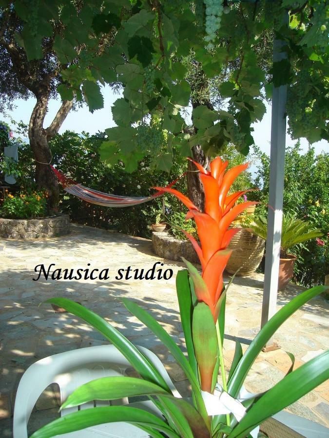 Studio Nausica... A Sense Of Paradise! Agia Pelagia Chlomou Eksteriør bilde